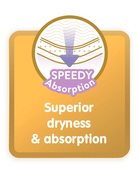 12 hrs Dryness, SPEEDY Absorption: Superior dryness & absorption
