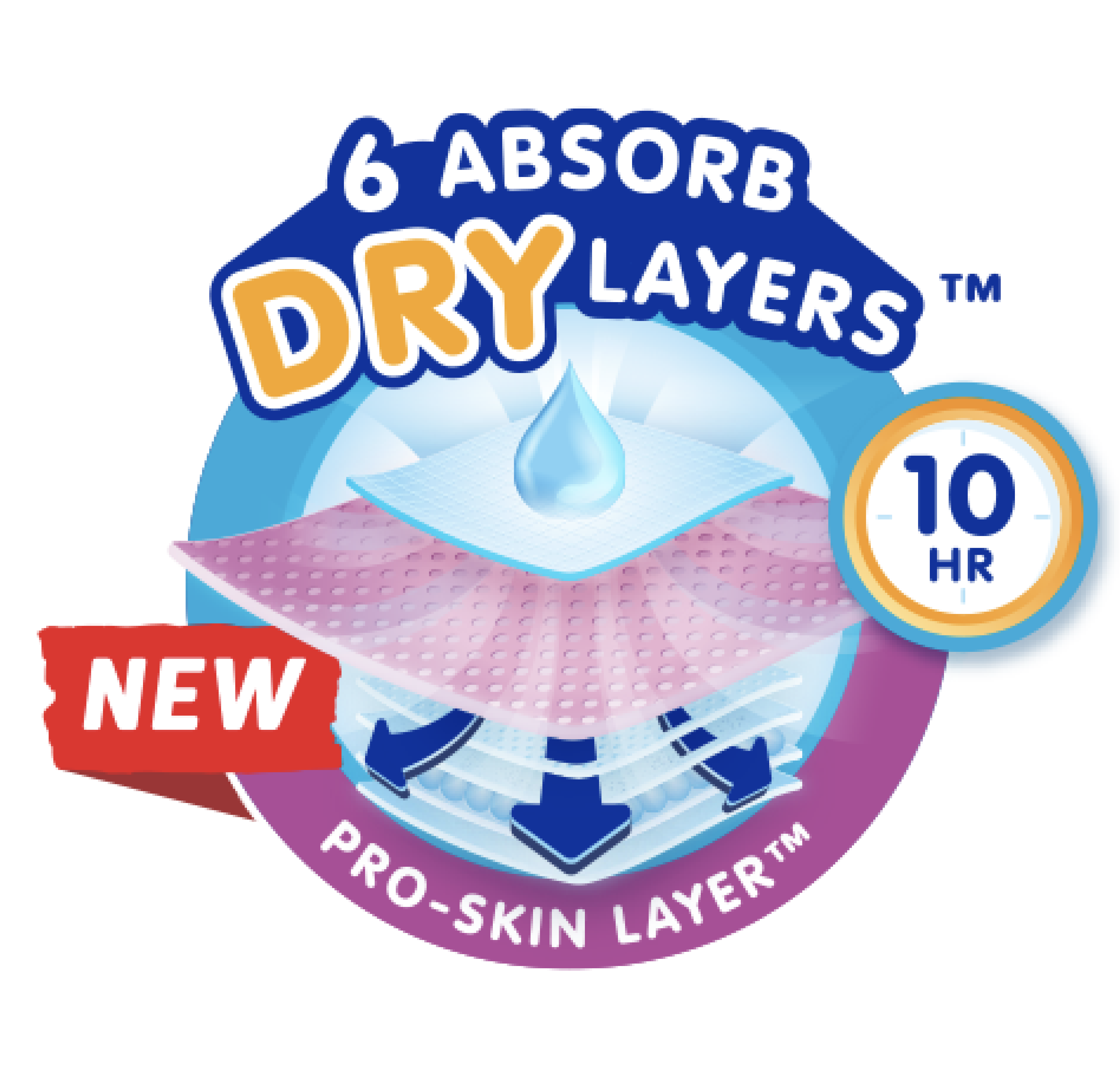 6 AbsorbDRY Layers